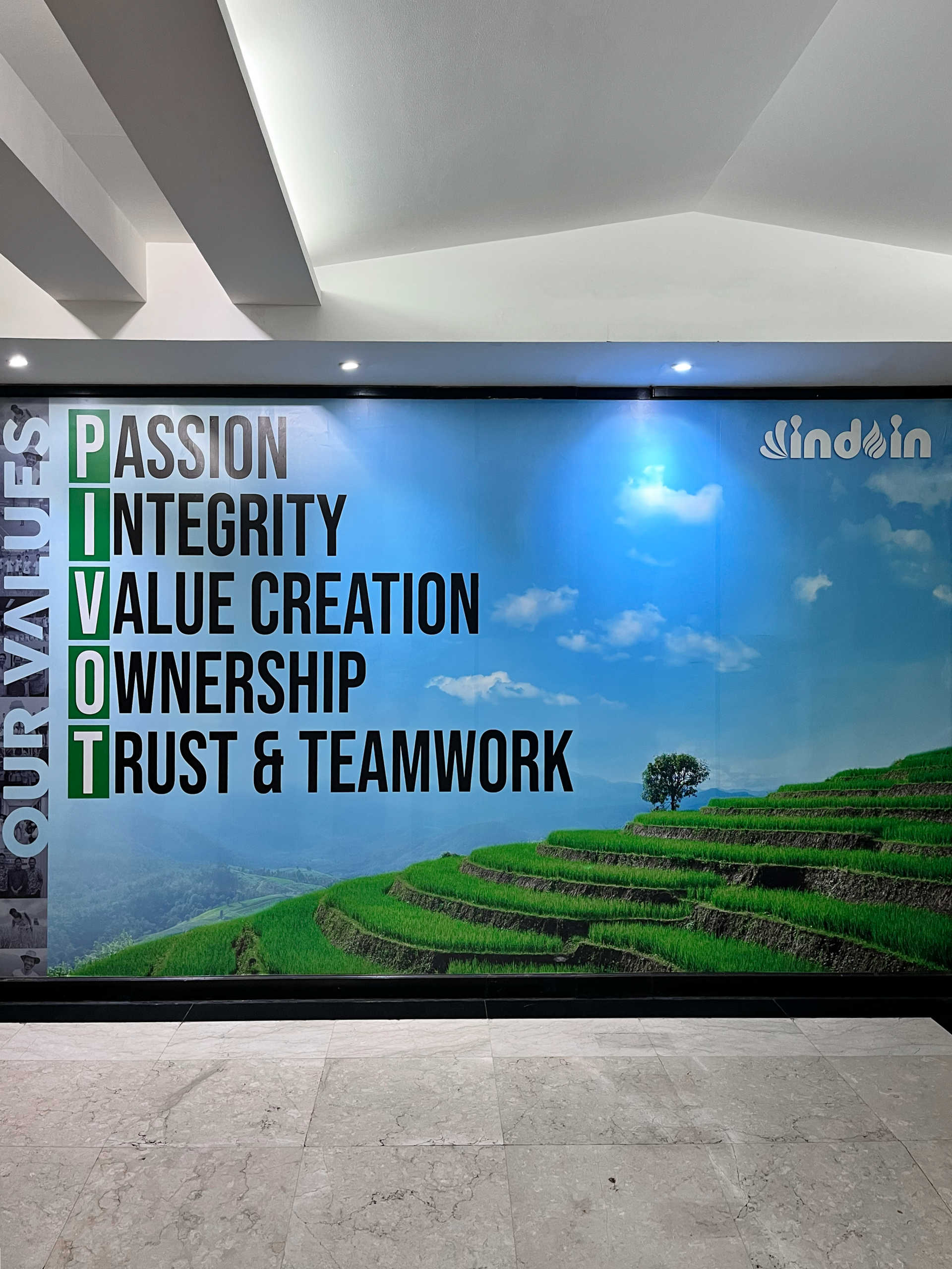 Welcome to Indoin Group