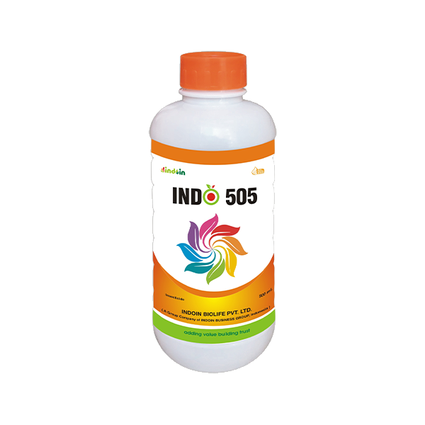 INDO 505