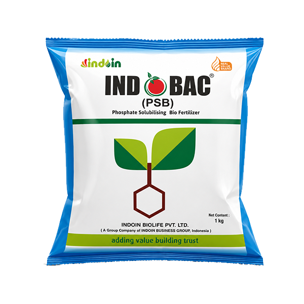INDOBAC PSB