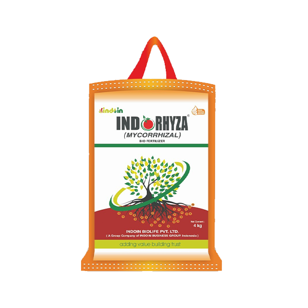 INDORHYZA