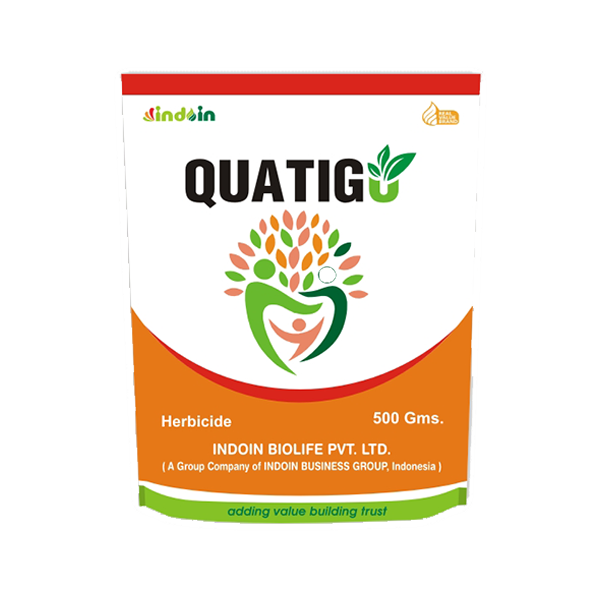 QUATIGO