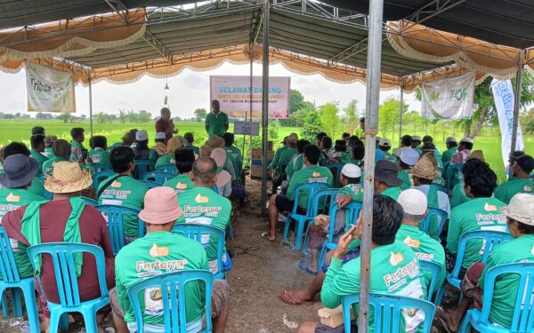 Events at Field