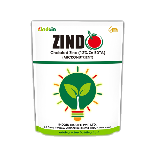 ZINDO