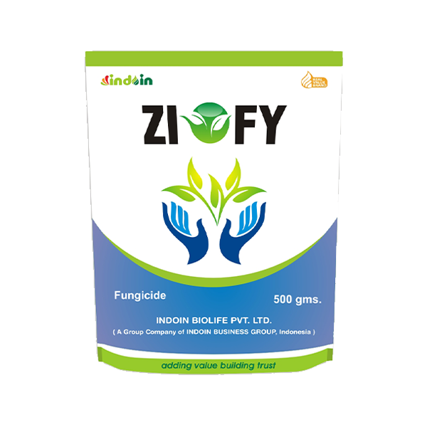 ZIOFY
