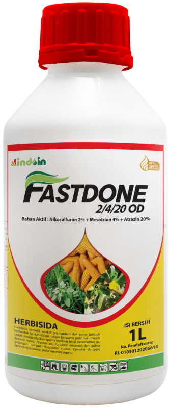 Fastdone