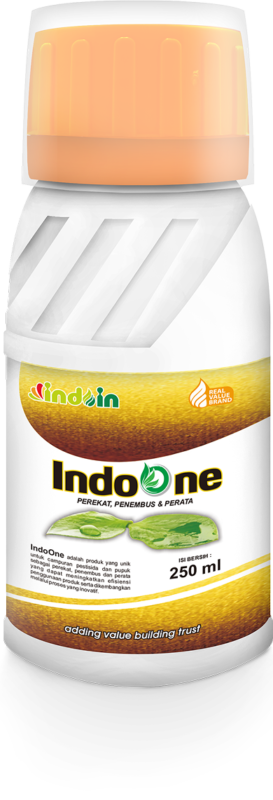 Indoone