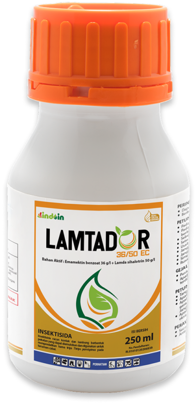 Lamtador