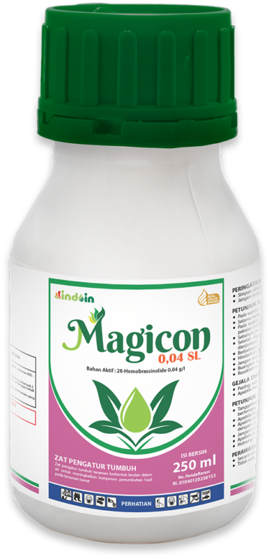 Magicon