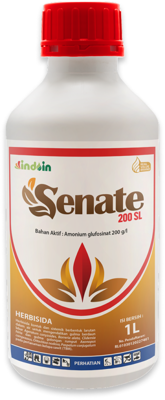 Senate