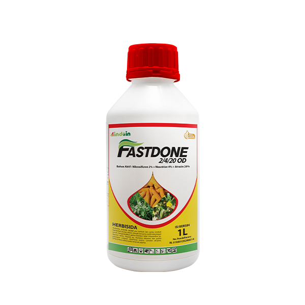 FASTDONE 2/4/20 OD