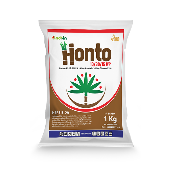 HONTO 10/30/15 WP