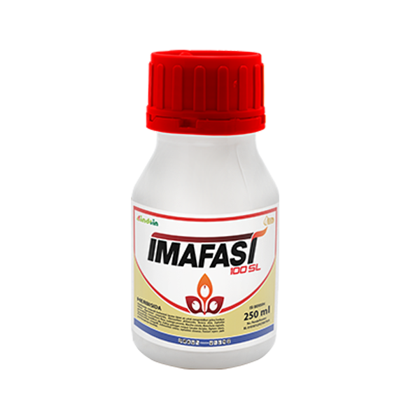 IMAFAST 100 SL