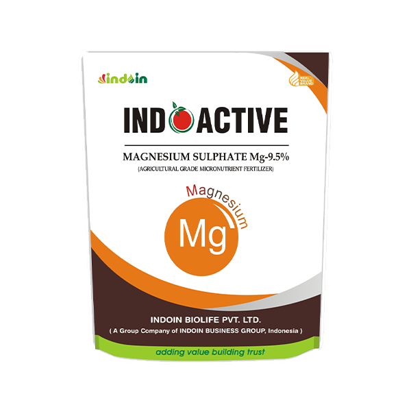 INDOACTIVE