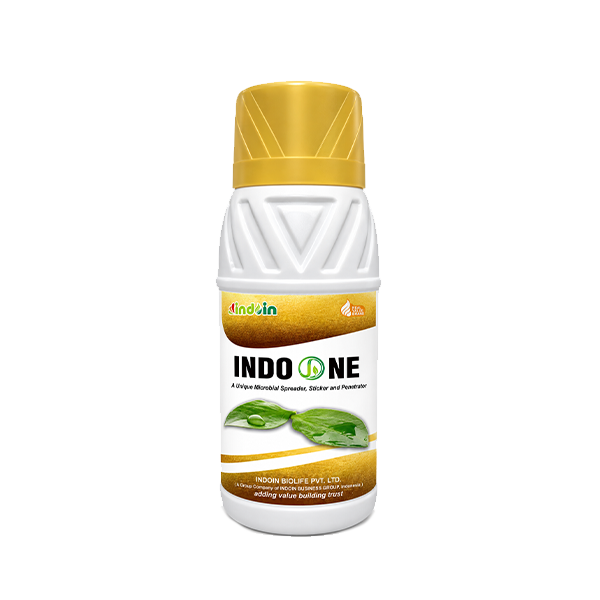 INDOONE