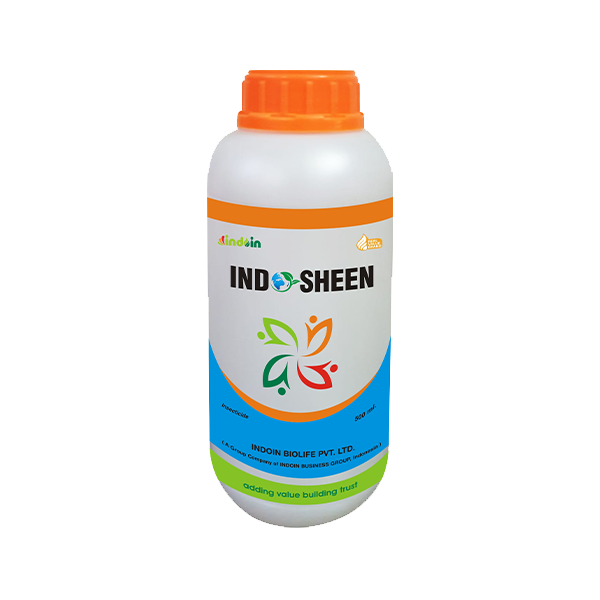 INDOSHEEN