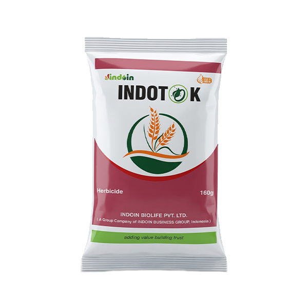 INDOTOK