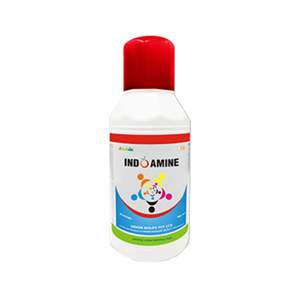 INDO AMINE