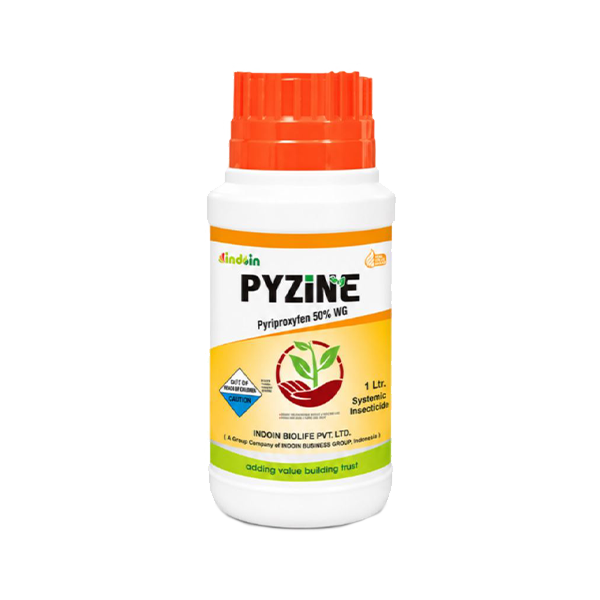 PYZINE