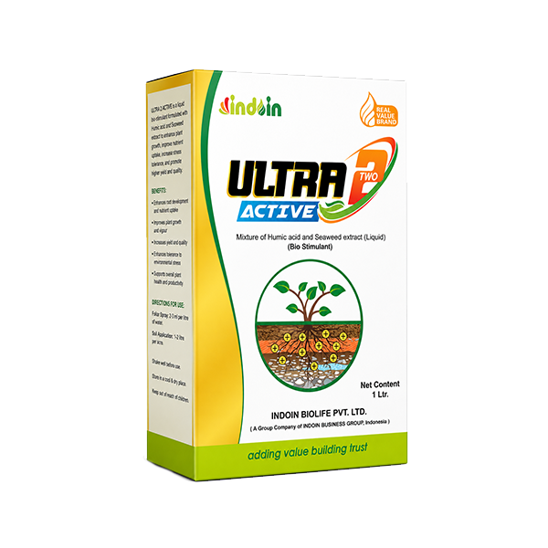 ULTRA 2 ACTIVE