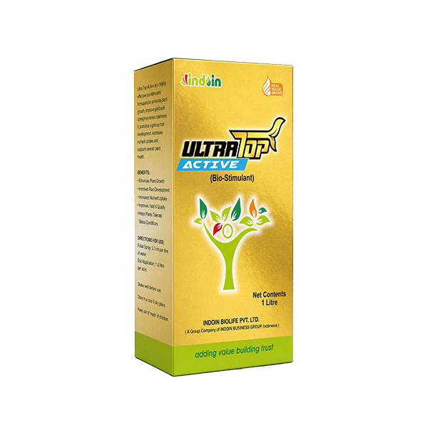ULTRA TOP ACTIVE