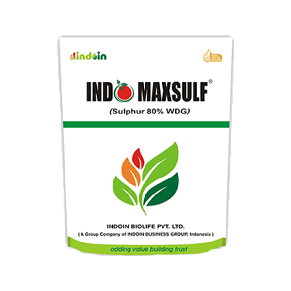 Indo Maxsulf