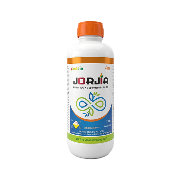 JORJIA