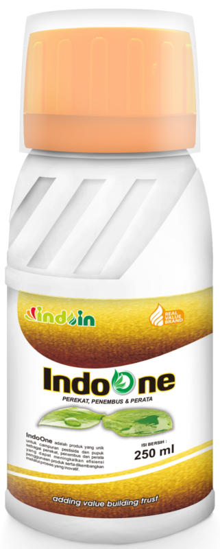 Indoone