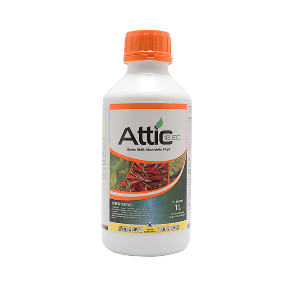 ATTIC 18 EC