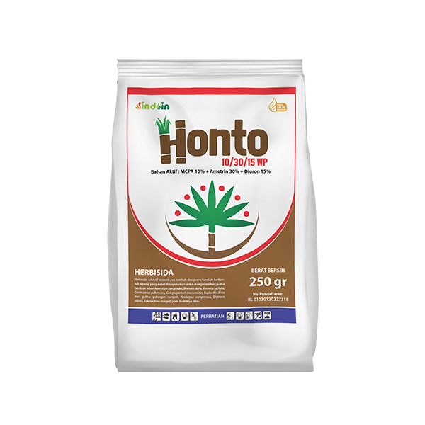 HONTO 10/30/15 WP