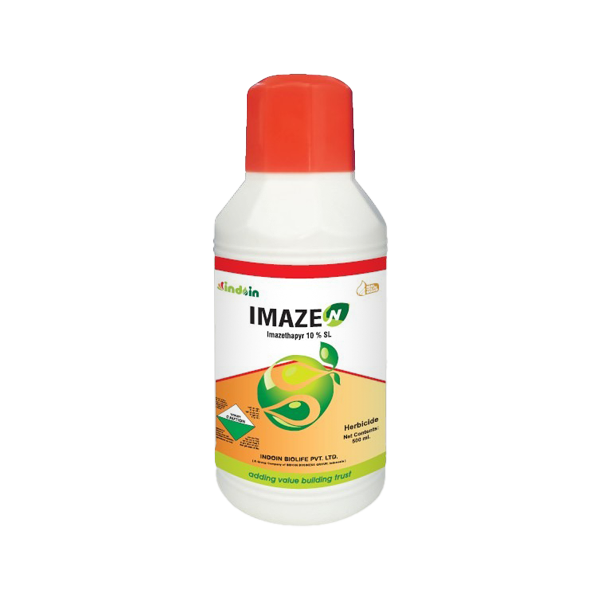 IMAZEN