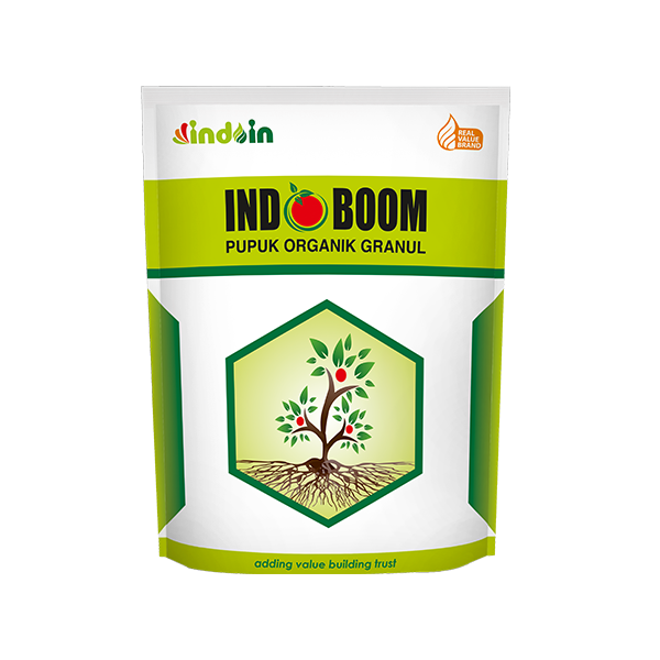 INDO BOOM