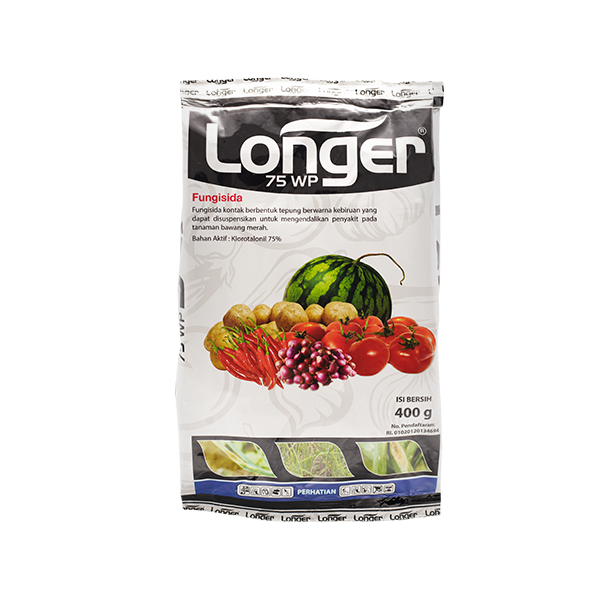 LONGER 75 WP