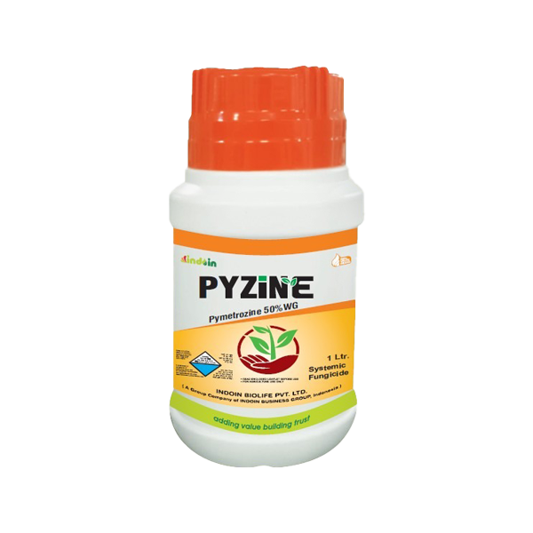 PYZINE
