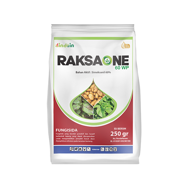 RAKSAONE 60 WP
