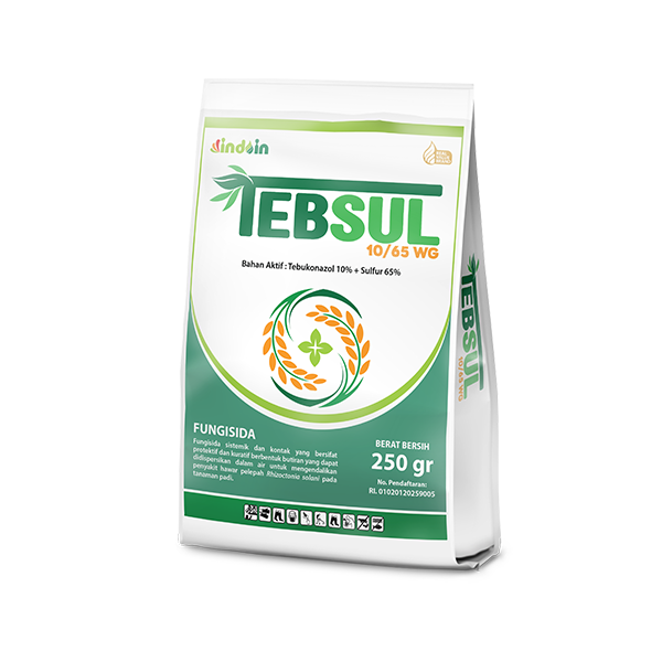 TEBSUL 10/65 WG