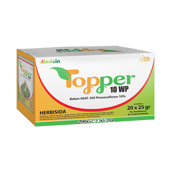 TOPPER 10 WP