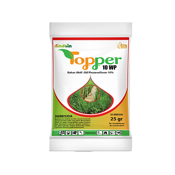 TOPPER 10 WP