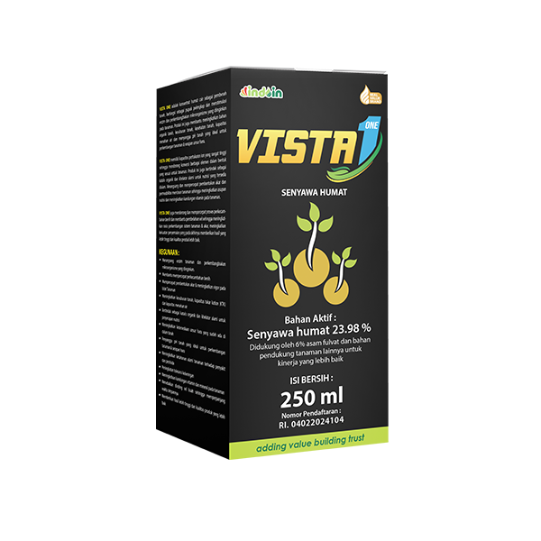 VISTA ONE