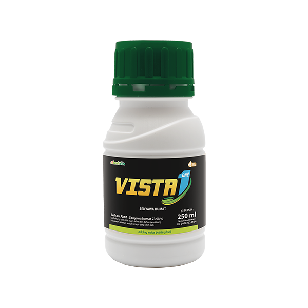 VISTA ONE